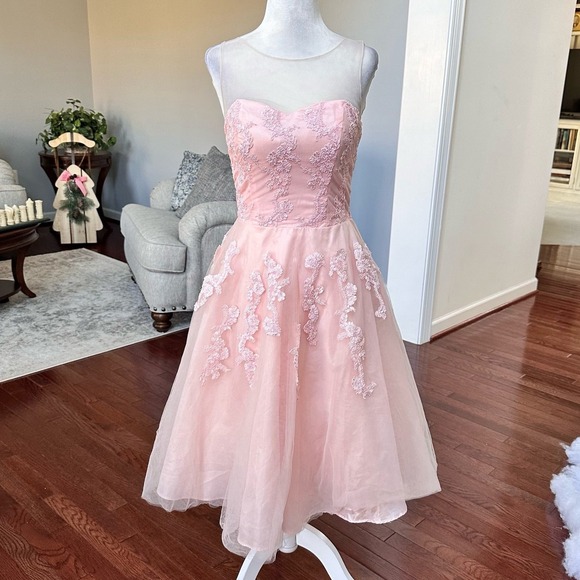 Steppin Out Dresses & Skirts - Vintage Steppin Out Baby Pink Embroidered Tulle Sheer Cocktail Dress Size Small